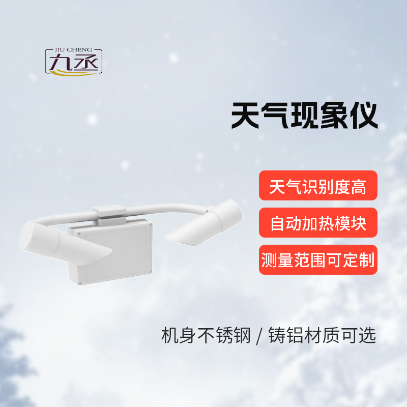 天氣現象檢測器