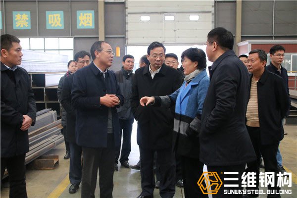 棗莊副市長霍媛媛，滕州市委書記邵士官蒞臨檢查